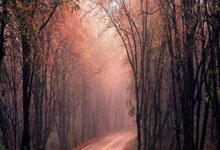 PG国际:津媒:国足阵容极度不整,但3月两场18强赛拿4分的目标不变.