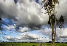 PG国际:越南U主帅:中国U身体好,打法纪律严明,对我们是个考验.